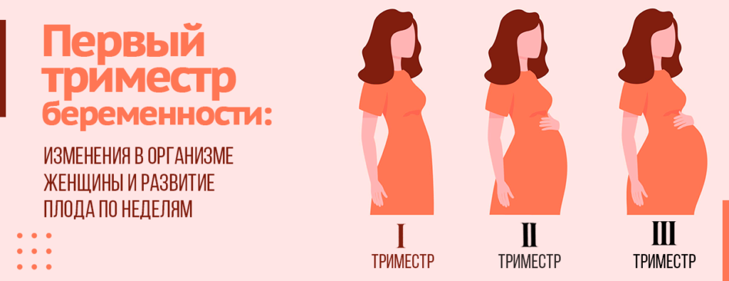 Что должна знать женщина о первом триместре беременности