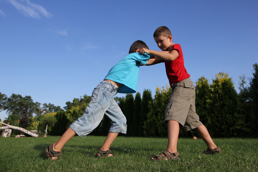 Конфликты на детской площадке: стандартные ситуации и способы выйти победителем из любого недоразумения