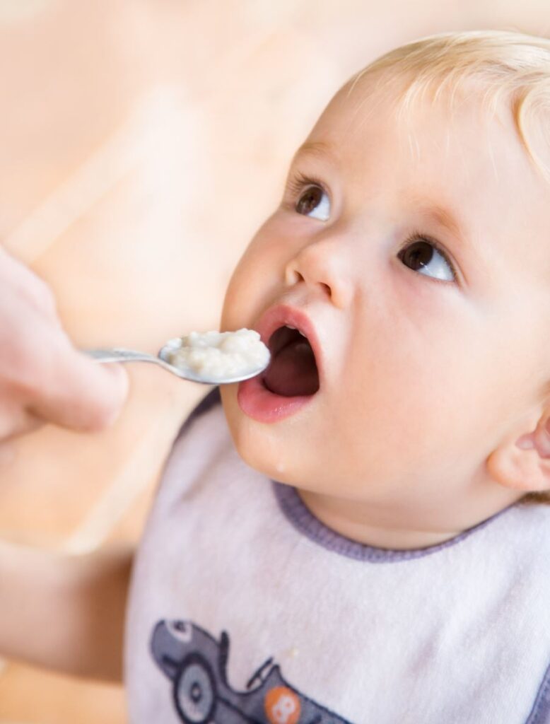 Правила и секреты приготовления прикорма для малыша своими руками