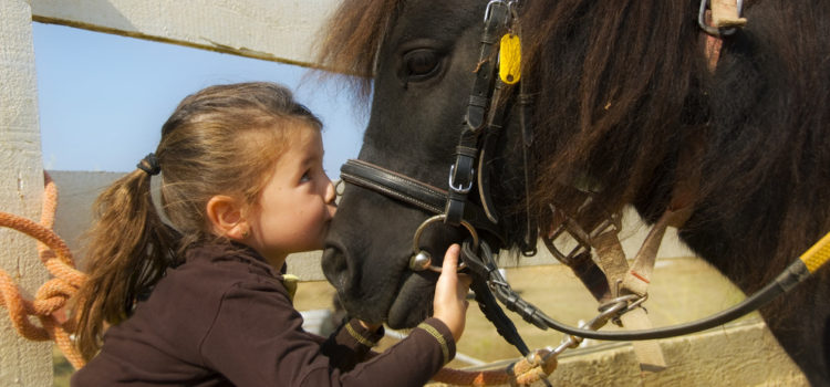 Занятие конным спортом для детей. Разберемся в подробностях
