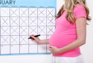 срок беременности календарь