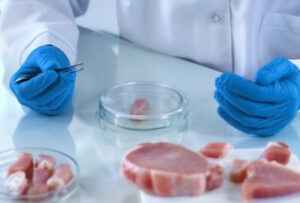 лаборатория мясо