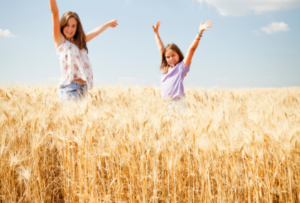 дети в пшеничном поле