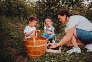 дети собирают ягоды в корзину
